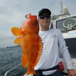 きずなまりん 釣果