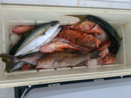 bay style 釣果