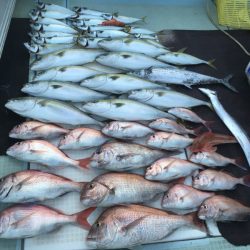 エムズジャーク（M’s JERK） 釣果