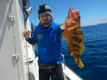 きずなまりん 釣果