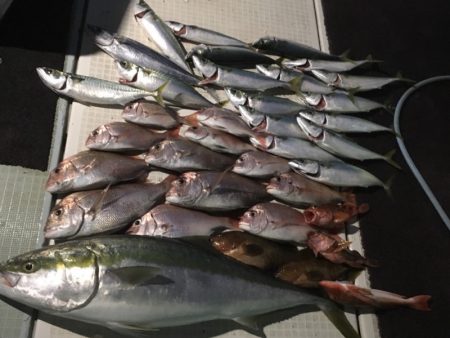 エムズジャーク（M's JERK…