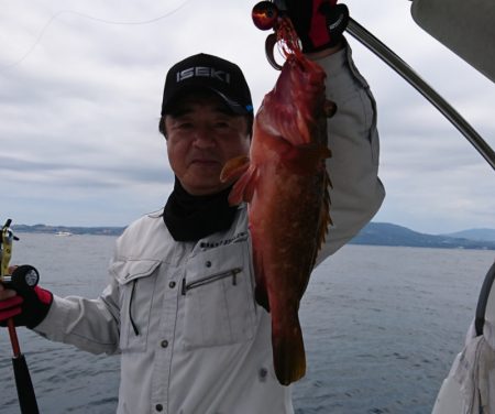 遊漁船 家入 釣果