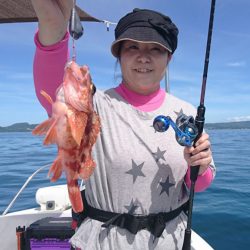 遊漁船 家入 釣果