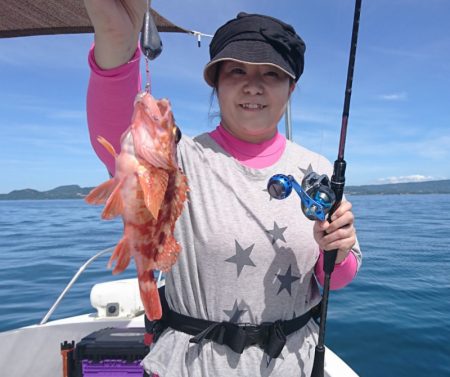 遊漁船 家入 釣果