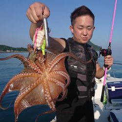 遊漁船 家入 釣果