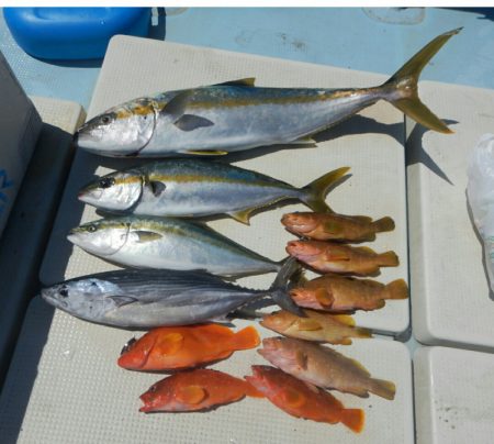 きずなまりん 釣果