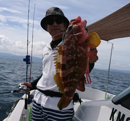 遊漁船 家入 釣果