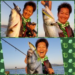 アマテラス 釣果