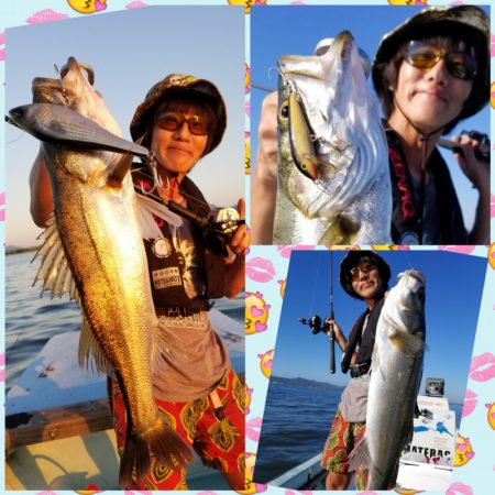 アマテラス 釣果