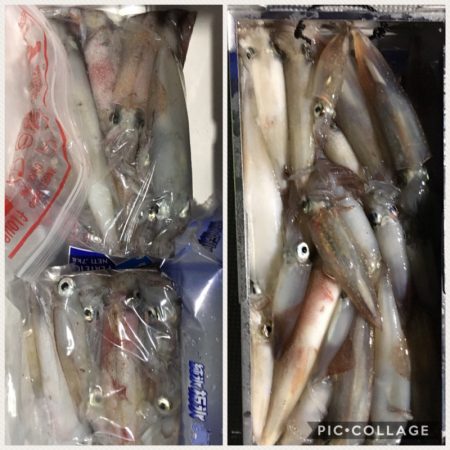 渡船屋たにぐち 釣果