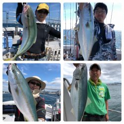 ビッグファイター 釣果