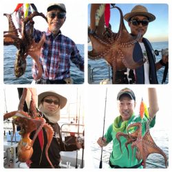 ビッグファイター 釣果