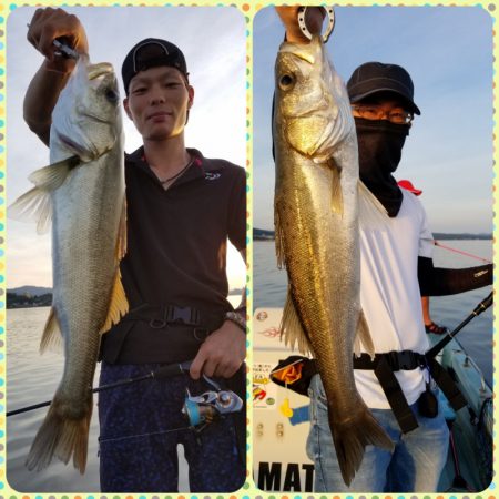 アマテラス 釣果