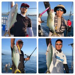 ビッグファイター 釣果