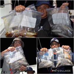 渡船屋たにぐち 釣果