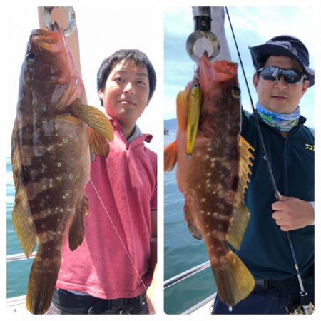 ビッグファイター 釣果