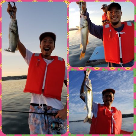 アマテラス 釣果