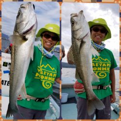 アマテラス 釣果