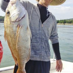 マリンガイド福丸 釣果