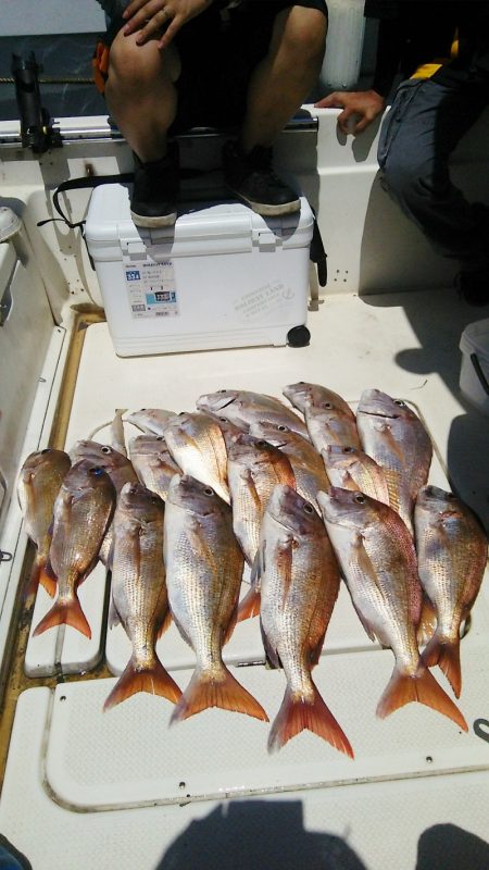 マリンガイド福丸 釣果