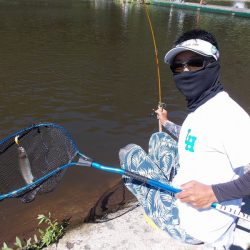 平谷湖フィッシングスポット 釣果