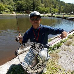 平谷湖フィッシングスポット 釣果