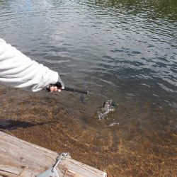 平谷湖フィッシングスポット 釣果