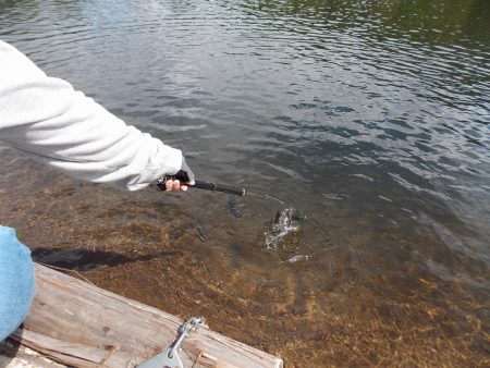 平谷湖フィッシングスポット 釣果