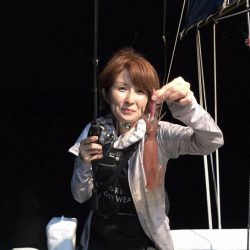 South Current 釣果