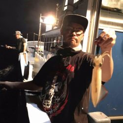 South Current 釣果