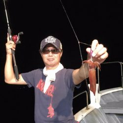 South Current 釣果