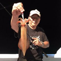 South Current 釣果