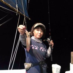 South Current 釣果