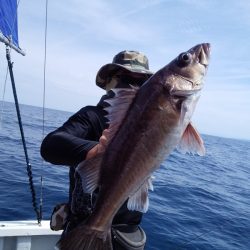 ひな丸 釣果