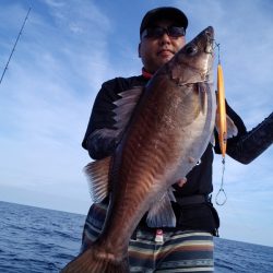 ひな丸 釣果
