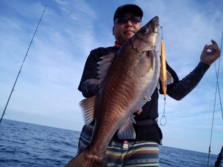 ひな丸 釣果