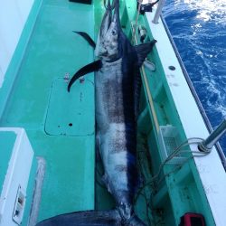 森竜丸 釣果