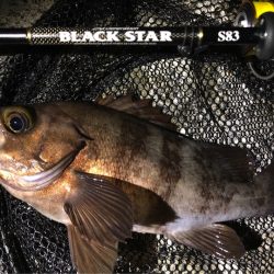 岩手県のメバリング釣行記〜モンスターに狙いを定めて【そ～あ氏連載 vol.2】