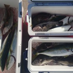 気仙沼　つり丸 釣果