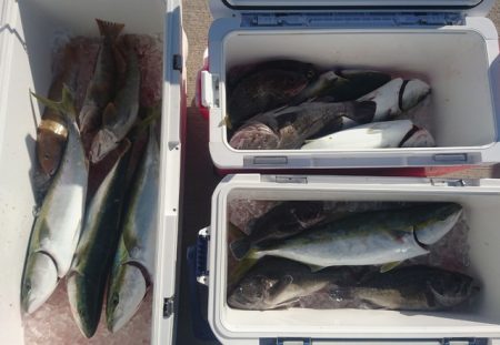 気仙沼　つり丸 釣果