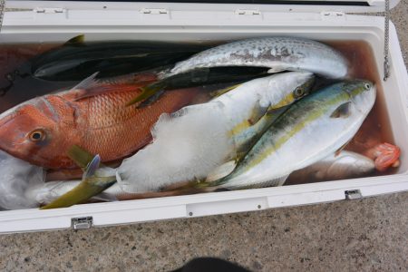 ジギング船 BLUEWATER 釣果