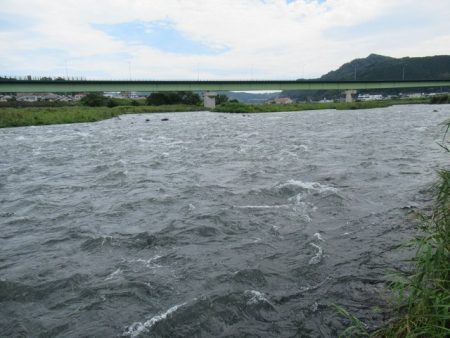 狩野川（狩野川漁業協同組合） 釣果