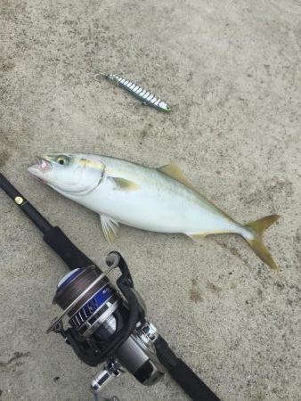 エギングからのショアジギング