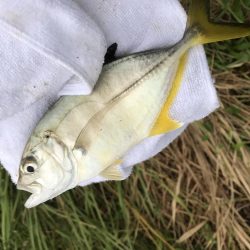 ランガンメッキ