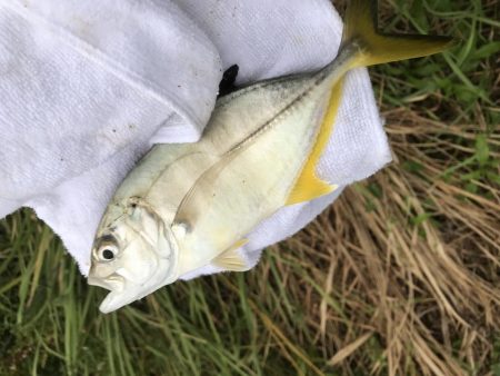 ランガンメッキ