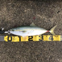 ショアジギング