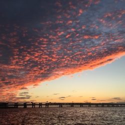 台風前のあじさがしー