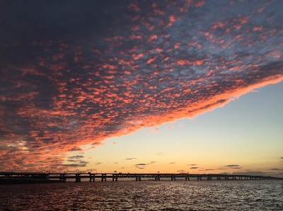 台風前のあじさがしー
