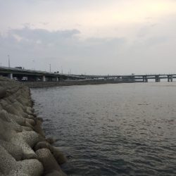 アジさがしからの