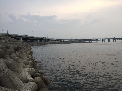 アジさがしからの